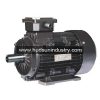 JW,-Y2-Electric-Motor