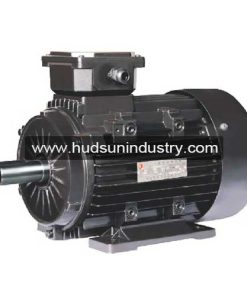 JW,-Y2-Electric-Motor