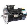 JW, Y2 Triple-Phase Asynch. Electric Motor